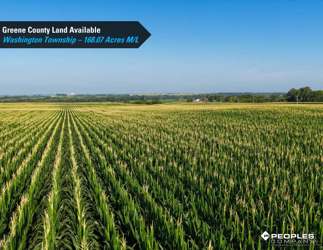 Listing Photo: Greene-County-Land-Available-168-Acres-19616 (13)